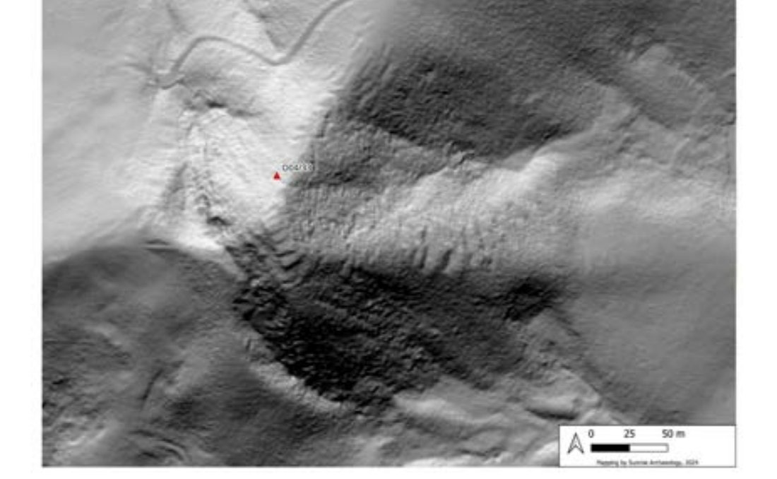 Lidar imagery of Pararake Pā showing the platform and extensive terracing